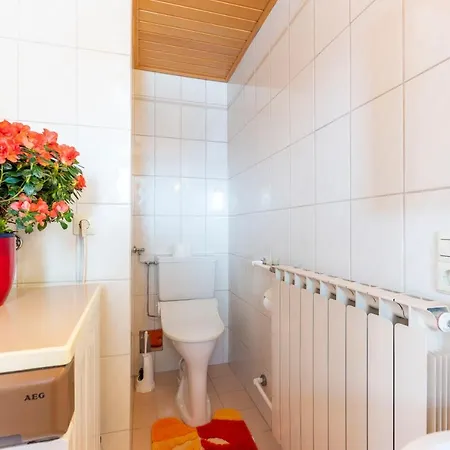 Apartment Berger Mauterndorf (Salzburg)